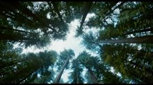 The Tree of Life Trailer Video