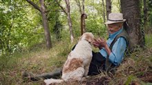 THE TRUFFLE HUNTERS Trailer Video