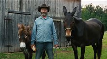 TOM GREEN COUNTRY Trailer Video