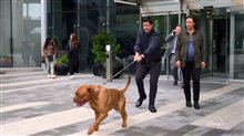 TURNER & HOOCH Trailer Video