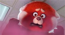 TURNING RED Teaser Trailer Video