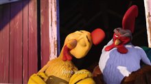 Un gallo con muchos huevos Trailer Video