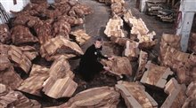 URSULA VON RYDINGSVARD: INTO HER OWN Trailer Video