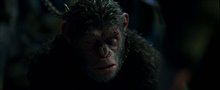 War for the Planet of the Apes Movie Clip - 