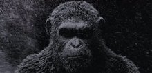 War for the Planet of the Apes - Official Teaser Trailer Video