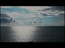 Waterlife Trailer Video