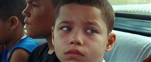 'We the Animals' Trailer Video