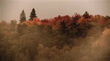 West Wind: The Vision of Tom Thomson Trailer Video