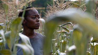 40-acres-trailer Video Thumbnail