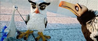 birds-like-us-trailer Video Thumbnail