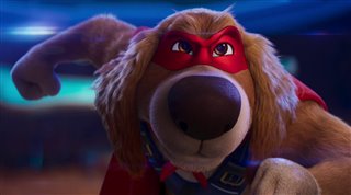 CHARLIE THE WONDERDOG Trailer Video Thumbnail