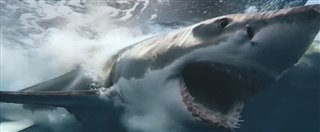 chum-trailer Video Thumbnail
