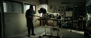 dogman-trailer Video Thumbnail