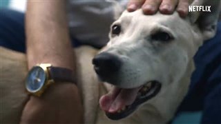 dogs-season-2-trailer Video Thumbnail