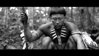 embrace-of-the-serpent Video Thumbnail