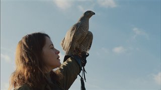 h-is-for-hawk-trailer Video Thumbnail