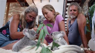 izzys-koala-world-season-1-trailer Video Thumbnail