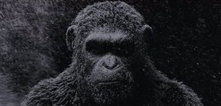 La guerre de la planète des singes Trailer Video Thumbnail