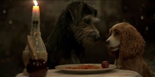 lady-and-the-tramp-trailer Video Thumbnail