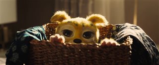 marsupilami-bande-annonce Video Thumbnail