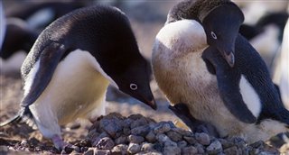 penguins-movie-clip---sharing-duties Video Thumbnail