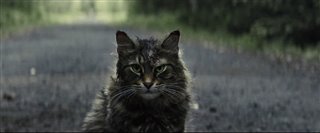 'Pet Sematary' Trailer Video Thumbnail