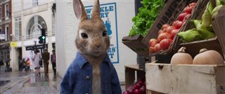peter-rabbit-2-the-runaway-teaser-trailer Video Thumbnail