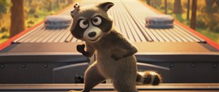 pets-on-a-train-trailer Video Thumbnail