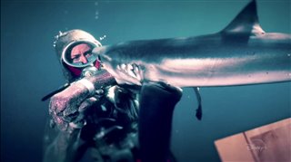playing-with-sharks-trailer Video Thumbnail