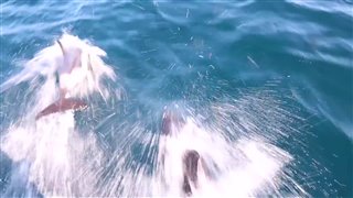 sea-of-life- Video Thumbnail