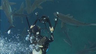 sharkwater-extinction-cast-interviews Video Thumbnail