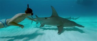 sharkwater-extinction-trailer Video Thumbnail