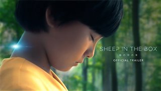 sheep-in-the-box-trailer Video Thumbnail